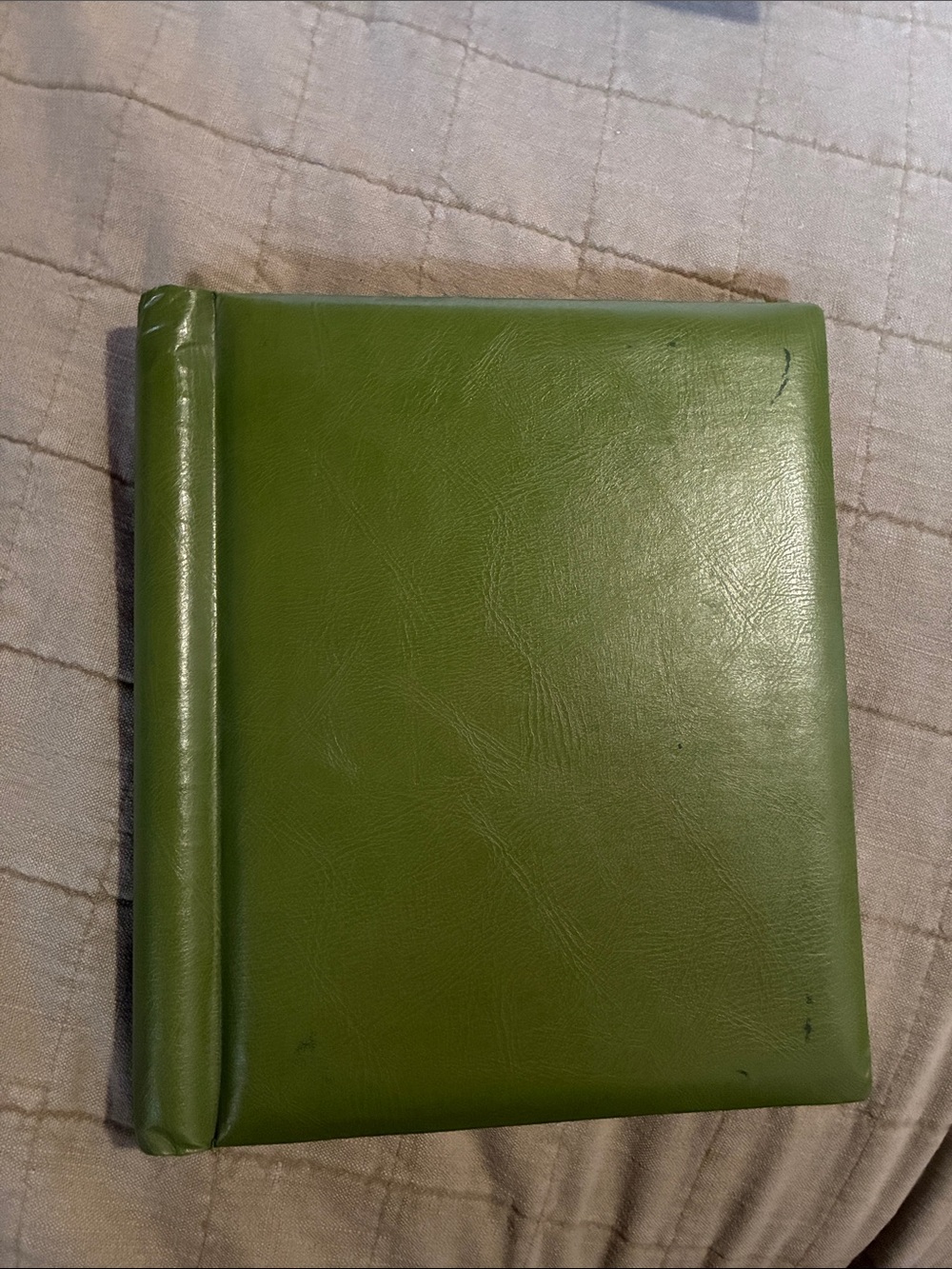 Vintage Green Photo Album - Home Accents